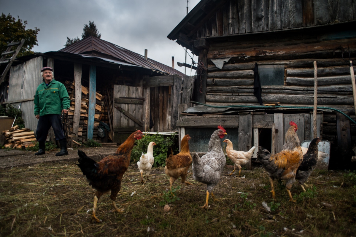 Селяне vs горожане: кто более удовлетворен жизнью в Нижегородской области