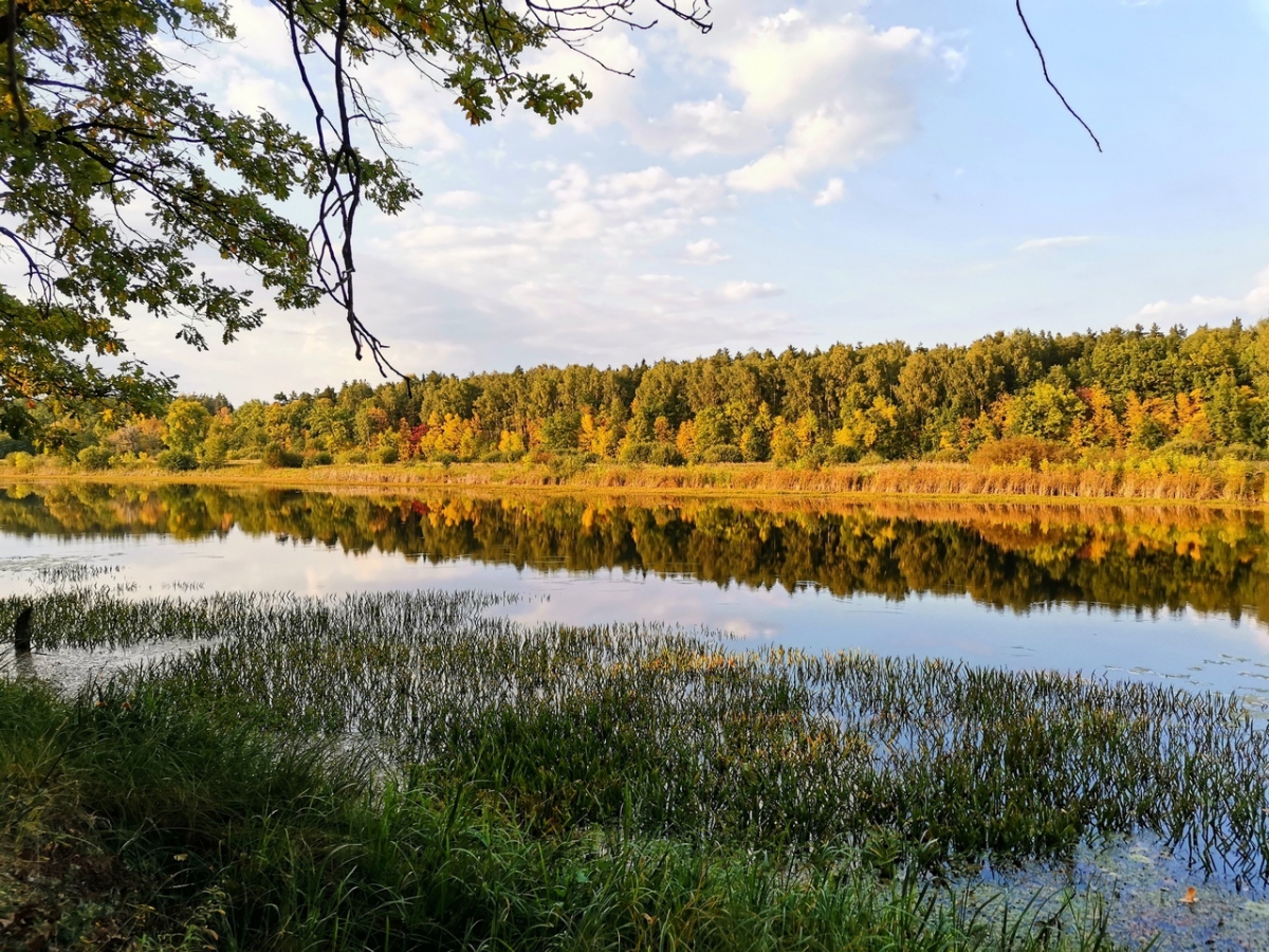 Погода бор нижегородской на 10 дней. Бор (Нижегородская область). Лето в Нижегородской области. Город Бор Нижегородской обл осенью. Фото Бор Нижегородская область.