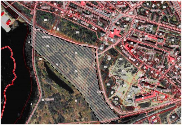 Проект новой дороги разрабатывается на Бору