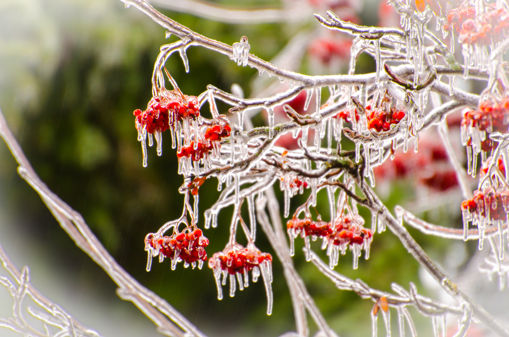 Ле­дя­ной дождь и снег на­кро­ют Нижегородскую область 30 ок­тяб­ря