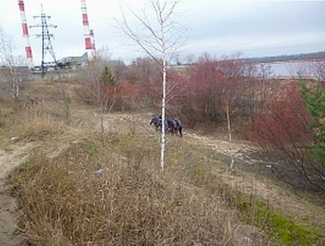 Тело мужчины обнаружено в реке Везлома на Бору