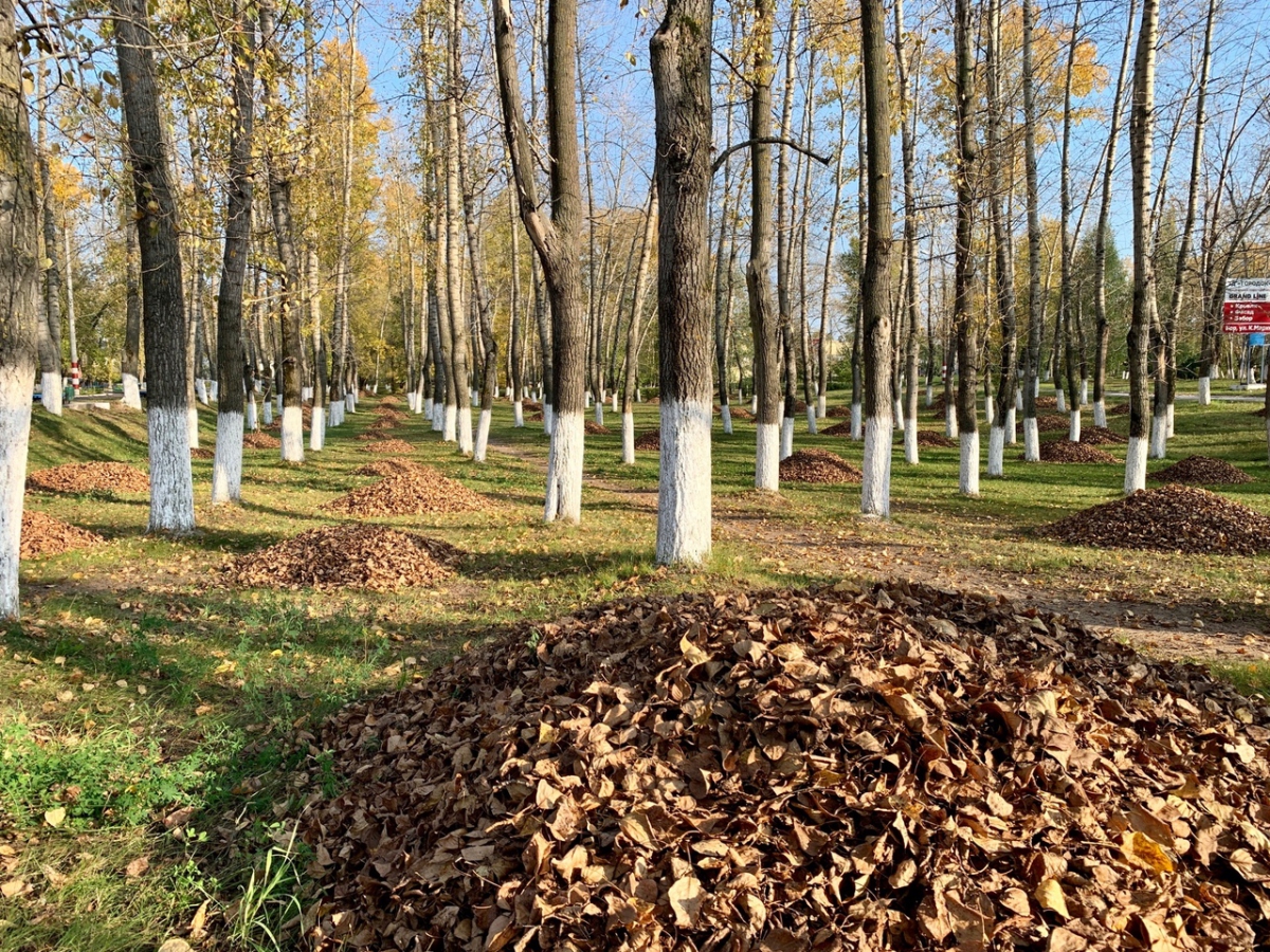 Потепление до +18 °С прогнозируется в области
