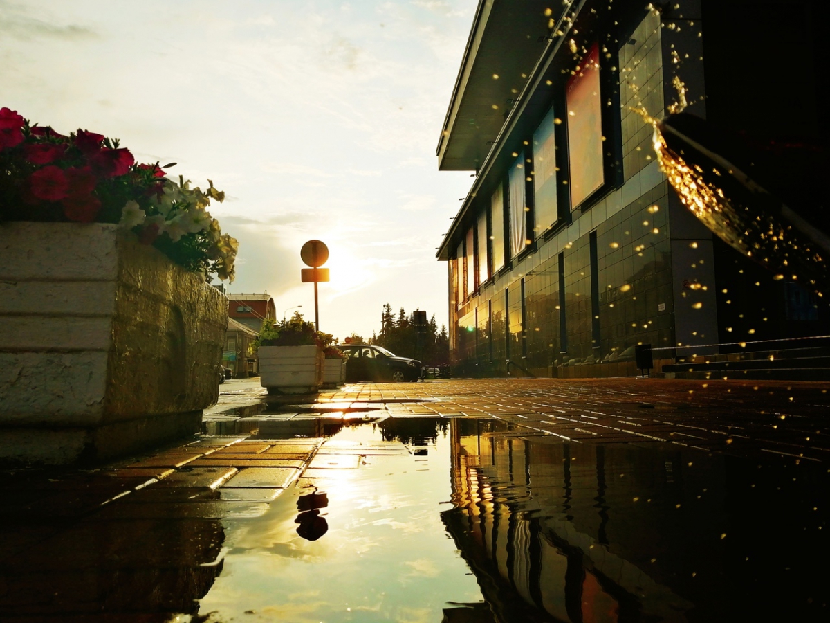 Рабочая неделя завершится дождливой погодой