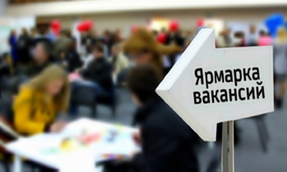 Ярмарка вакансий пройдет на Бору 21 ноября
