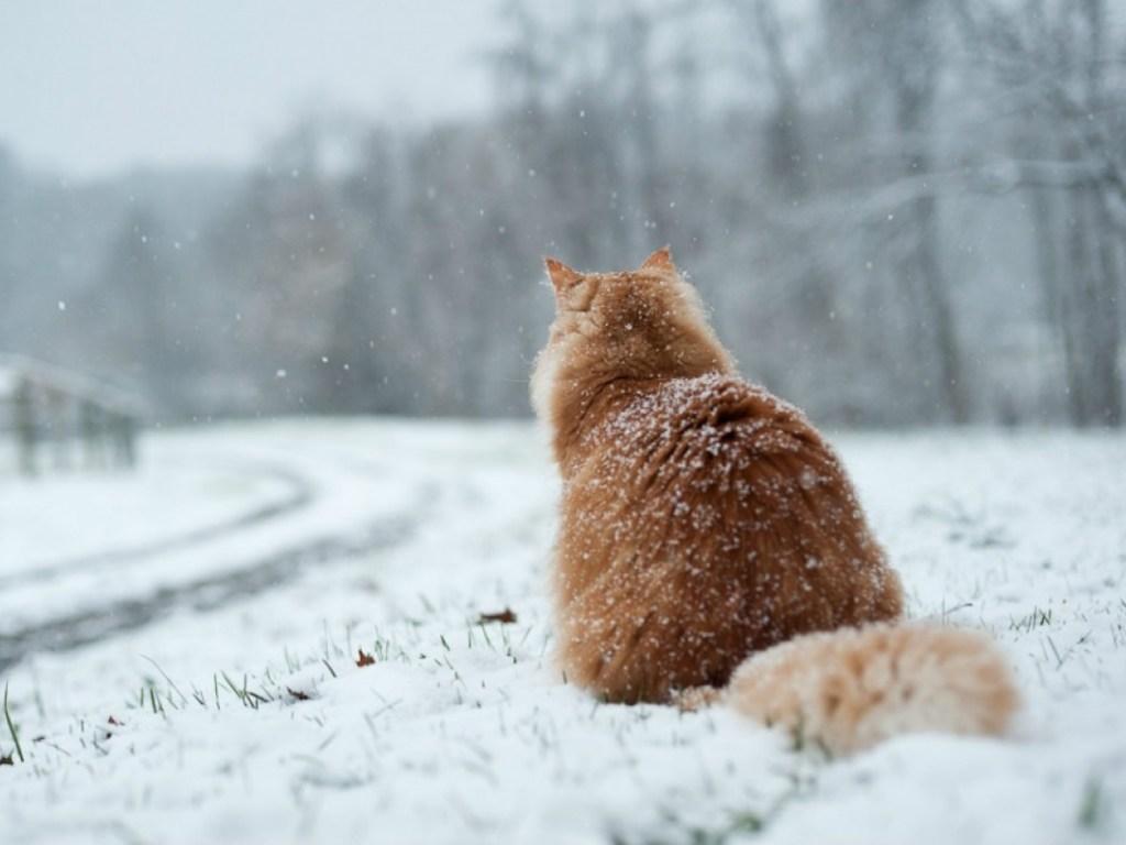 Резкое похолодание до -14 градусов идет в Нижегородскую область