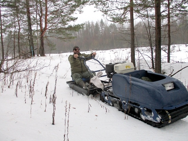 Учеты животных начались в Керженском заповеднике
