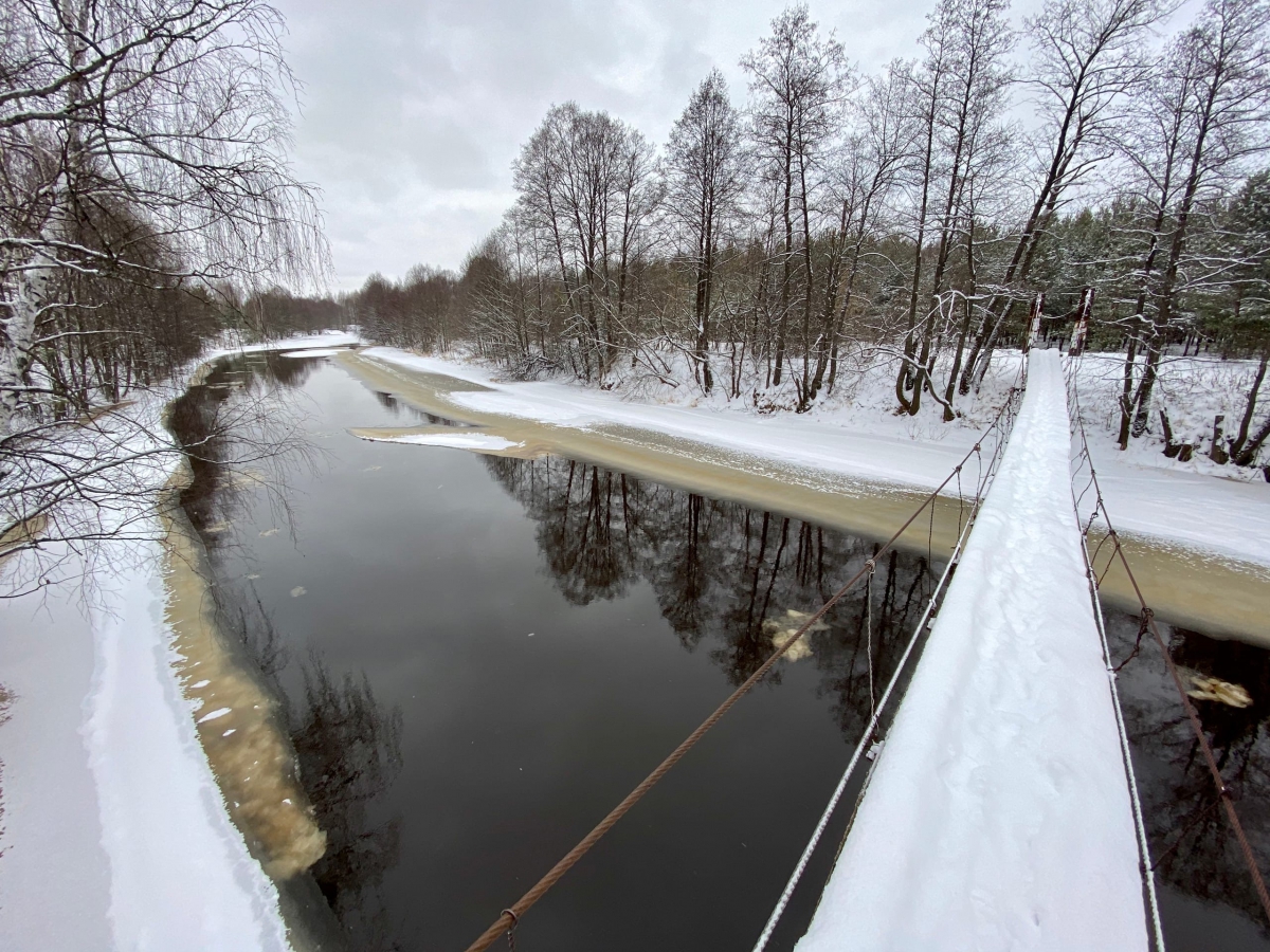Рекшино. 30.01.20.
