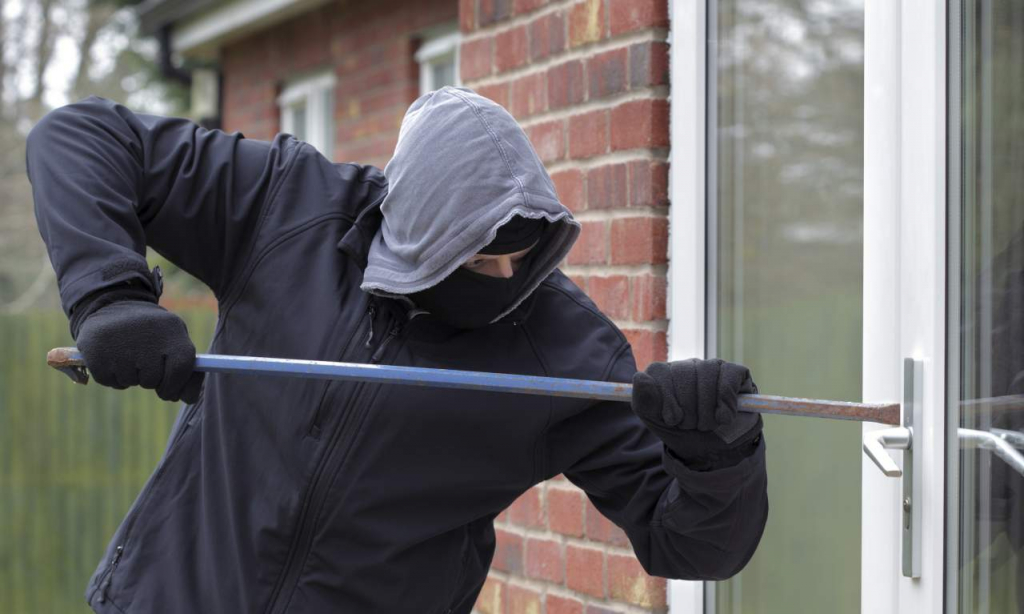 Борские полицейские раскрыли серию дачных краж