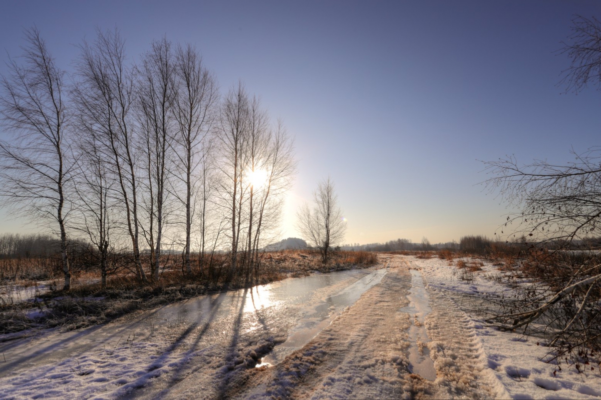 Погода г бор нижегородская неделя. Нижегородская область зимой. Зимнее поле в Нижегородской области.