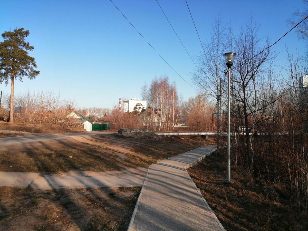 Потепление до +14 ожидается в выходные