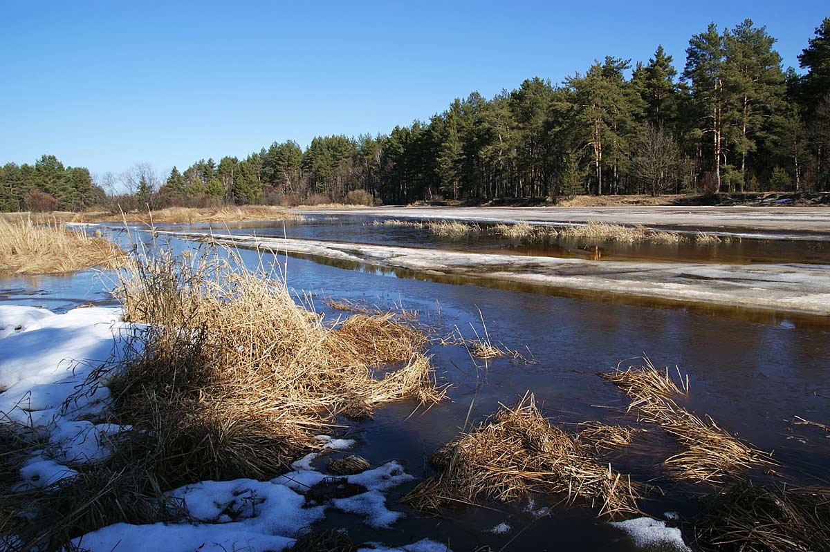 Мост через Линду на Бору затопило из-за паводка