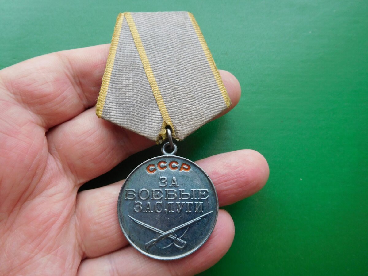 "Увидела у ноги железочку". Боевую медаль нашли спустя 75 лет