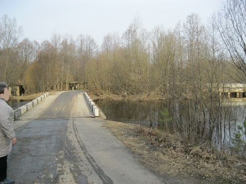 Освободился от воды низководный мост в г.о. г. Бор