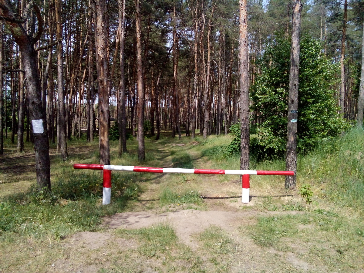 На территории Нижегородской области введен особый противопожарный режим