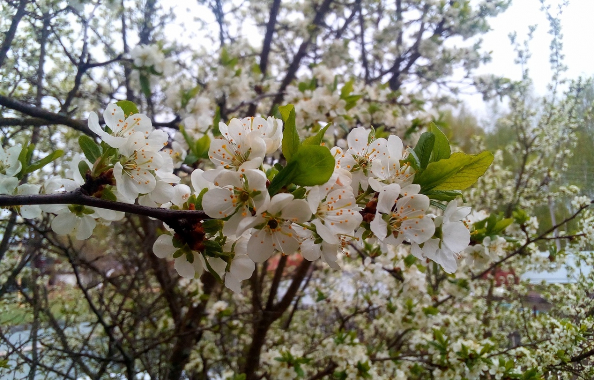 Резкое похолодание идет в Нижегородскую область