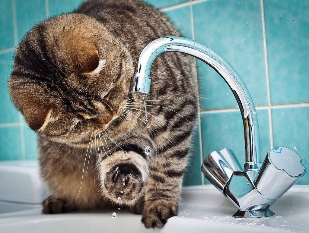 Отключение водоснабжения в п. Октябрьский и с. Редькино 30 марта