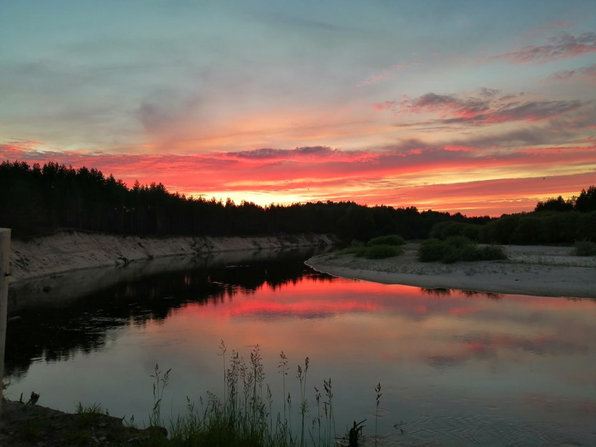 Летнее тепло порадует нас на этой неделе
