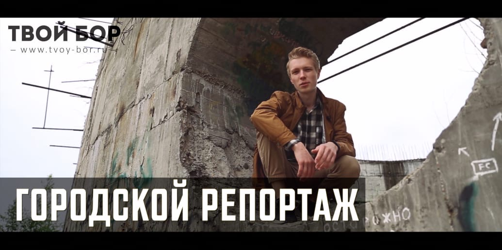 каялов бор россошь белки. сосновый бор новосибирск зимой. сосновый бор шадринск. лагерь вислый бор моршанск. оздоровительное объединение зеленый бор.