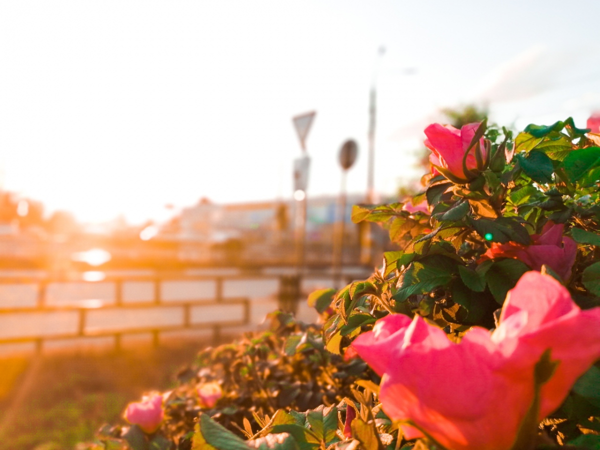 При температуре свыше +30°С Роспотребнадзор рекомендует сокращать рабочий день на 4 часа