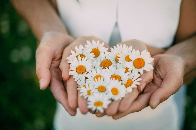 С Днём семьи, любви и верности!