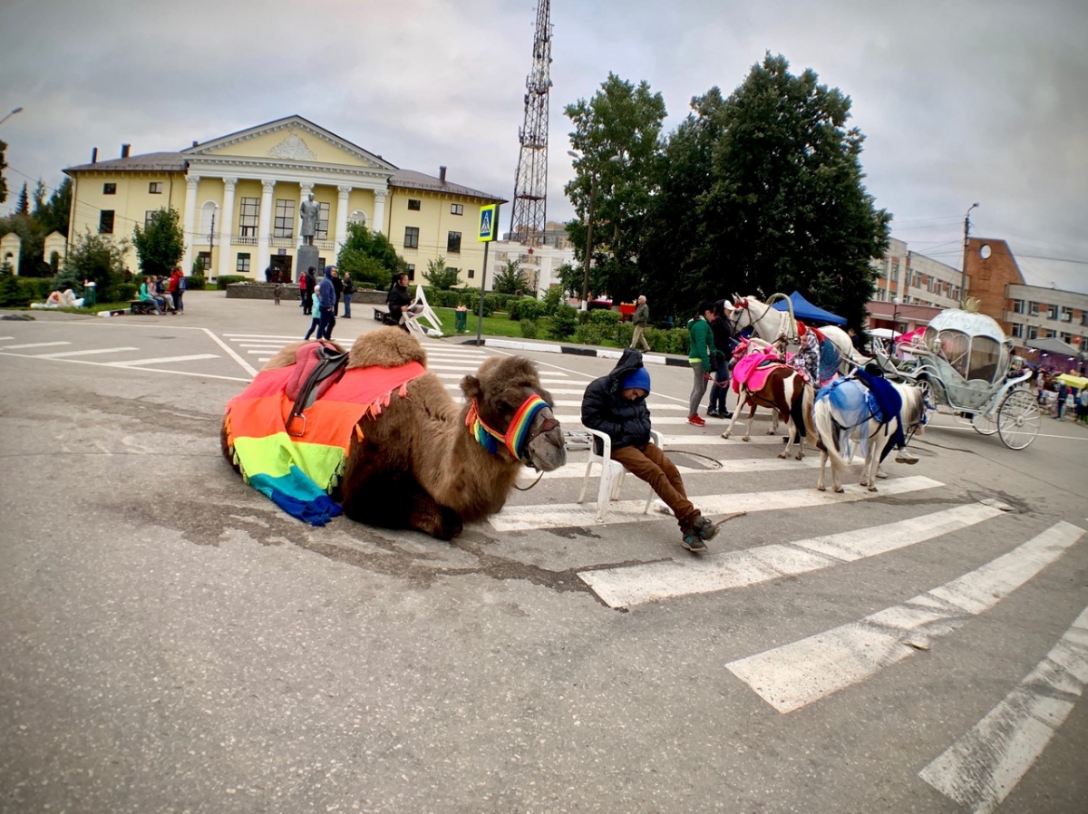 Как пройдет День города и День строителя на Бору?