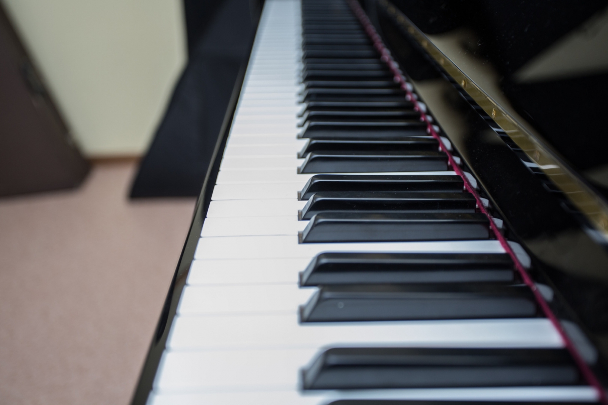 Около 1,4 млн рублей получила Линдовская школа искусств на закупку музыкальных инструментов и оборудования