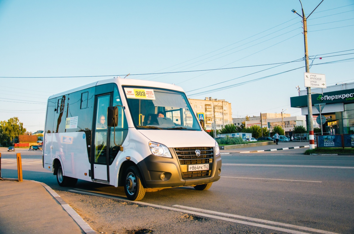 Какими автобусами БорПАП обновит автопарк?