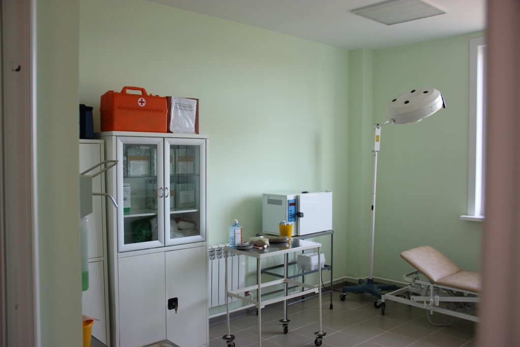 Новый фельдшерско-акушерский пункт построят в Борском округе