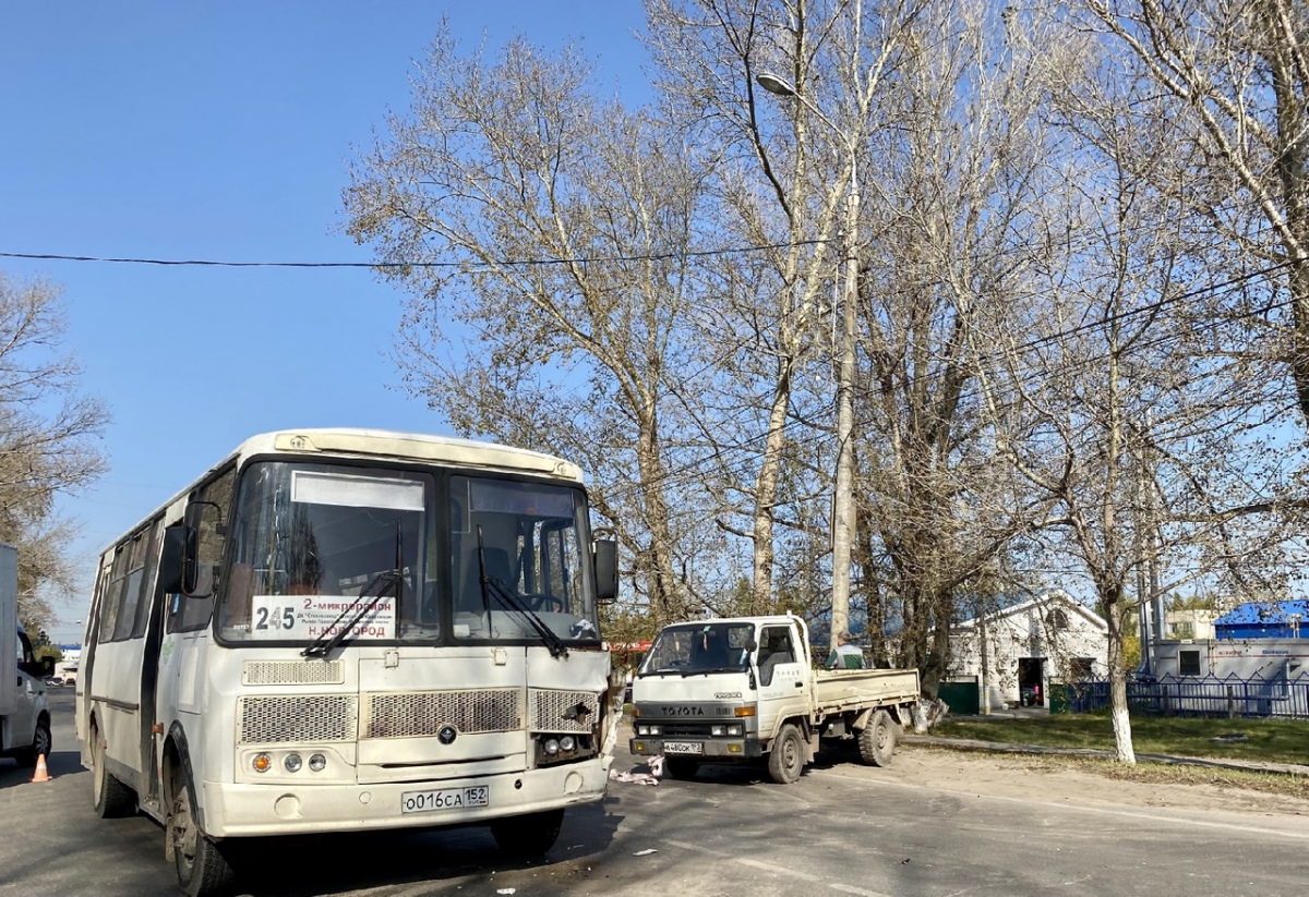 Как доехать до бора автобус. 245 Автобус Бор. Автобус 245 Нижний Новгород. Автобус 245 Бор Нижний Новгород. 245 Автобусов город Бор Нижегородская область.