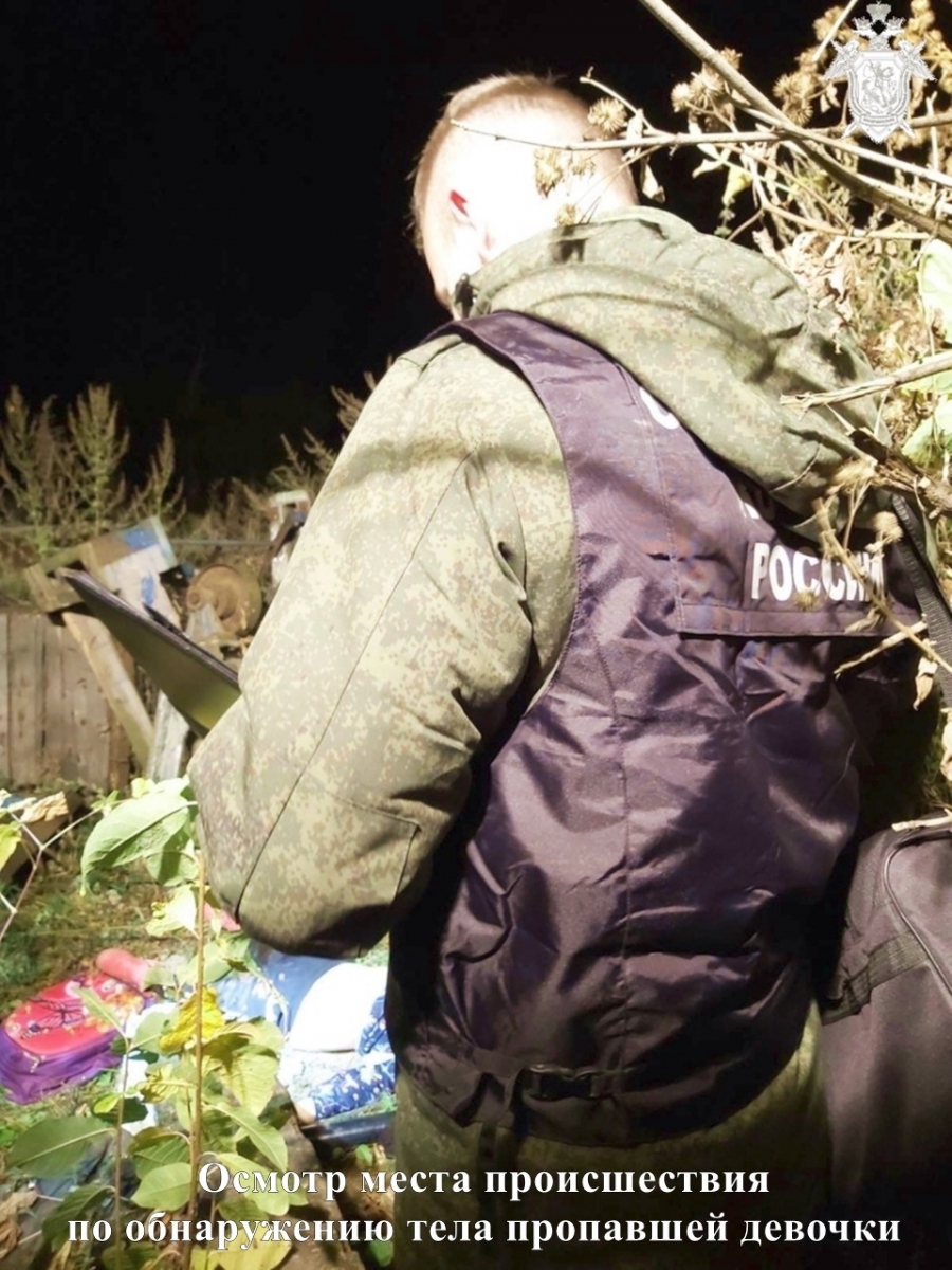 Стали известны первые подробности убийств женщины и ребёнка в городе Бор