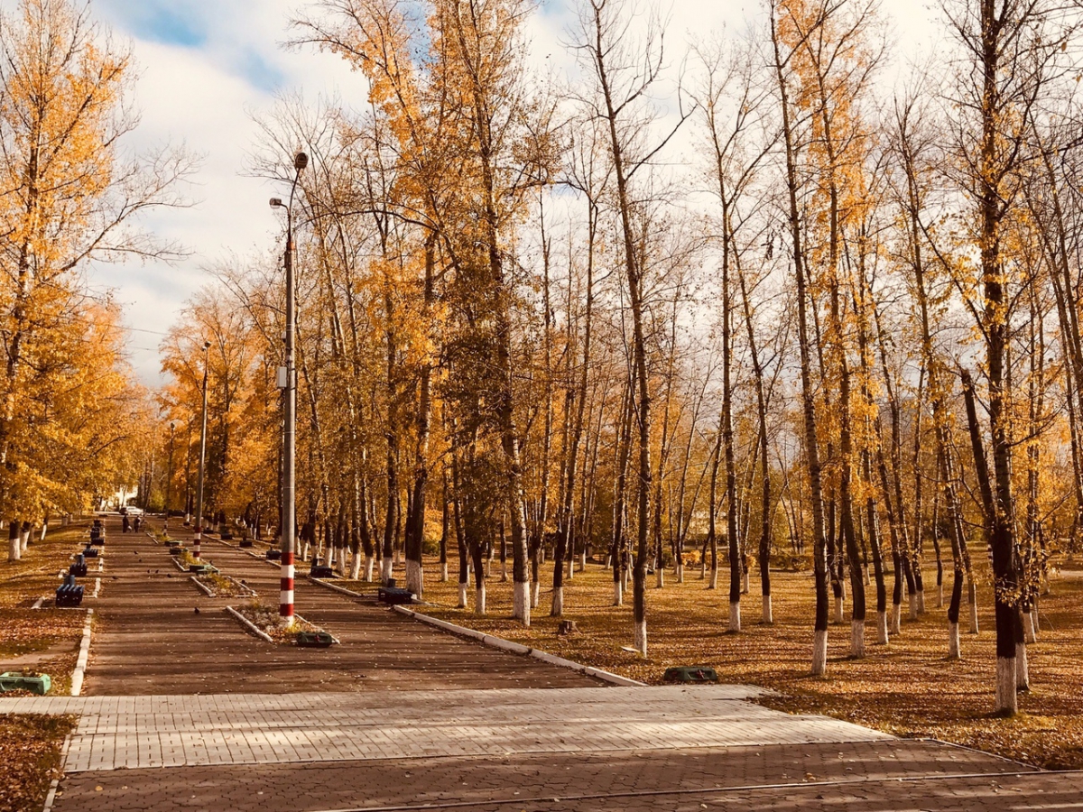 Новости города, новости спорта, акции и скидки города Бор — Твой Бор - сайт  города Бор Нижегородской области: страница 420