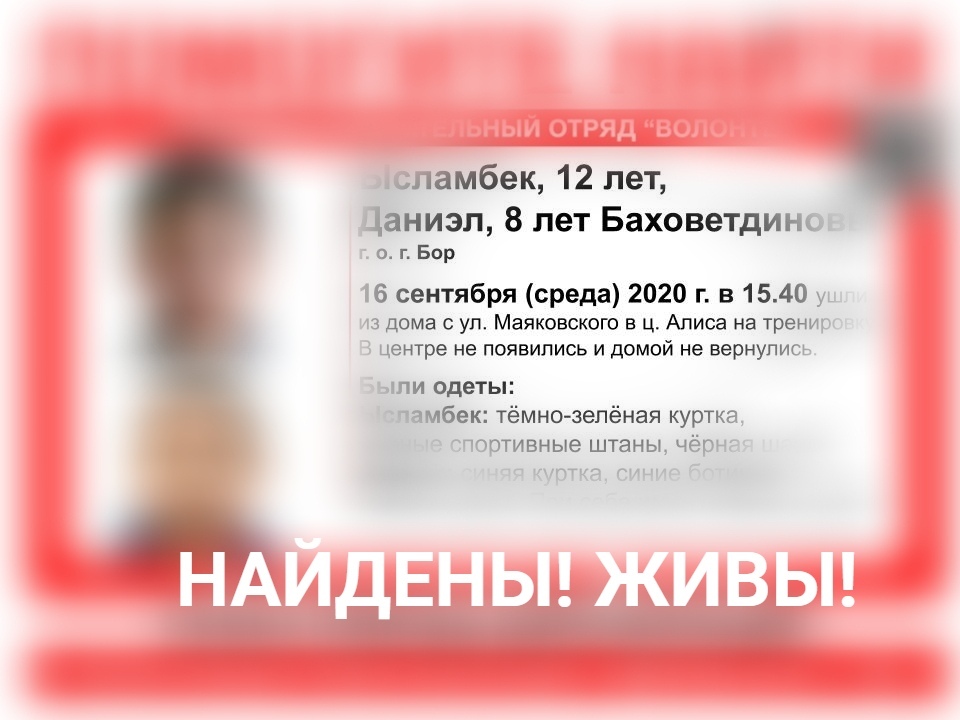 Двое пропавших детей были найдены на Бору живыми