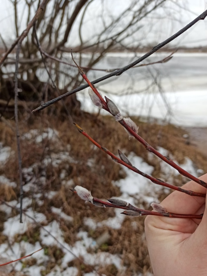 Какой зимы ждать в этом году?