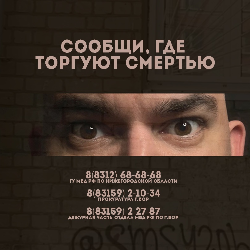 Сообщи, где торгуют смертью!