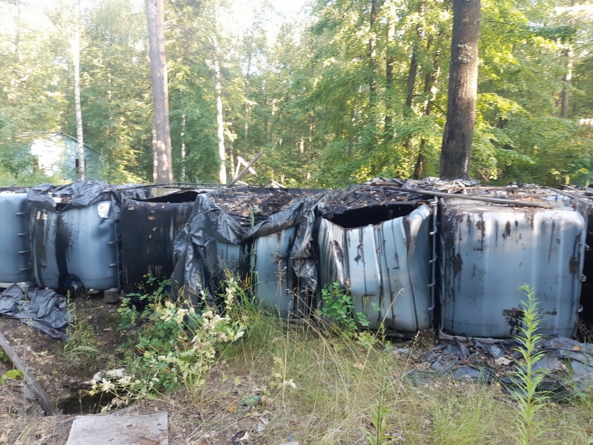 Даже «Первый» федеральный канал не помог в ликвидации незаконной свалки на Бору