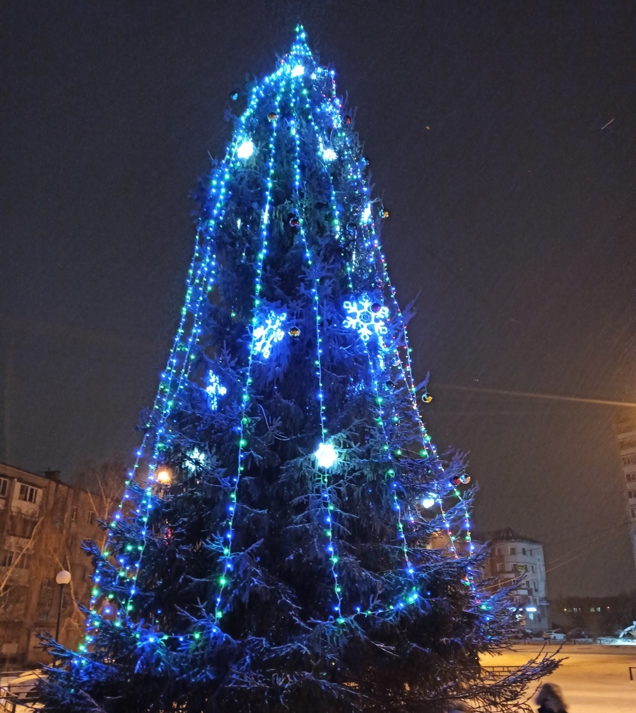 Миллион рублей потратили на Бору на новогоднее настроение