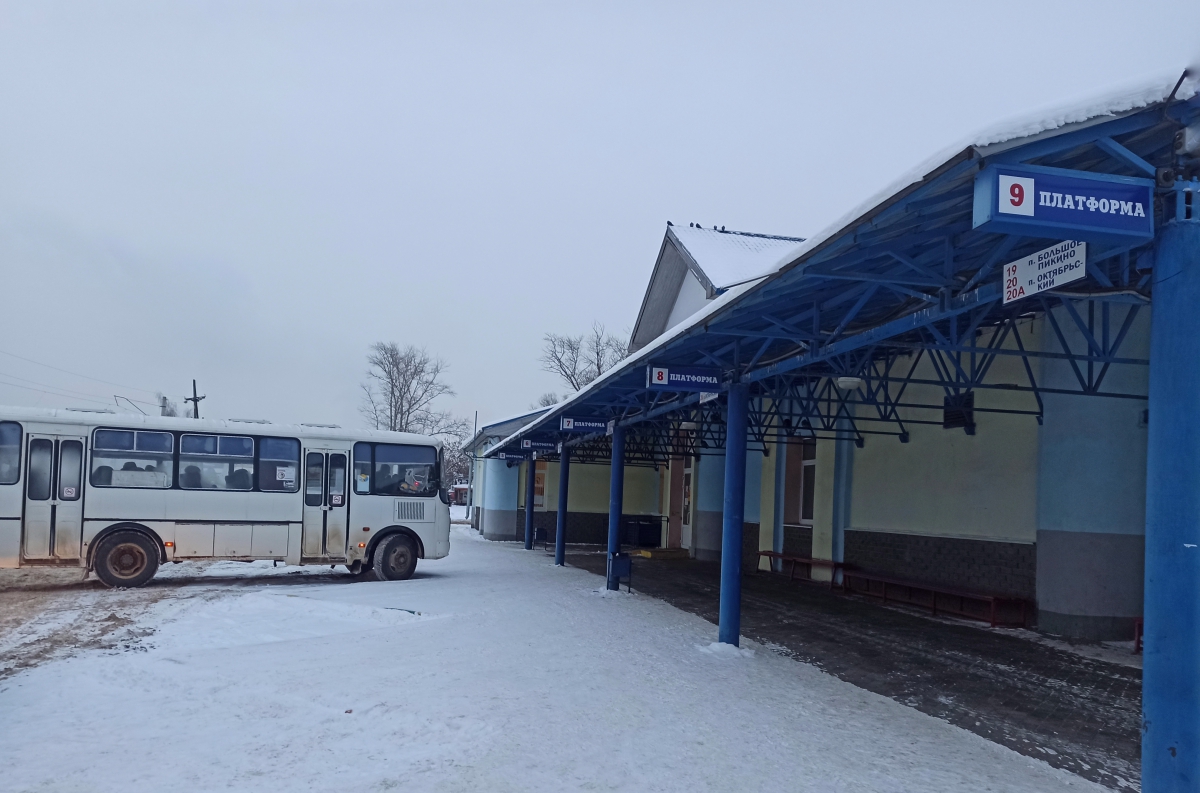 Школьные и студенческие проездные билеты на Бору стали бессрочными