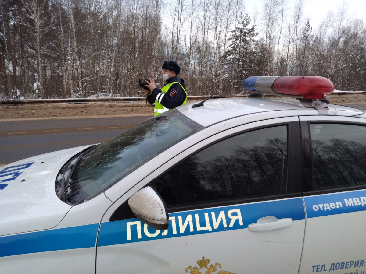 Беркут в работе