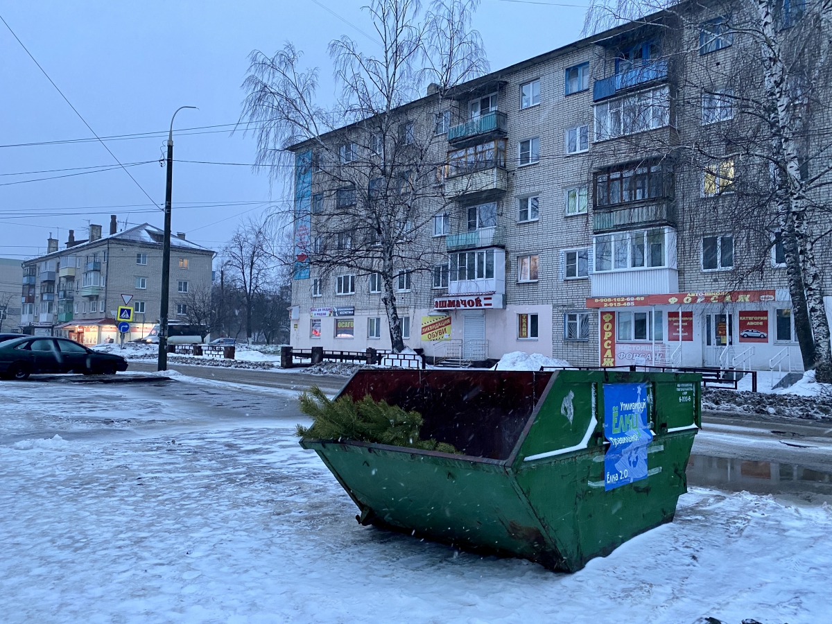Контейнер для утилизации живых ёлок установили на Бору