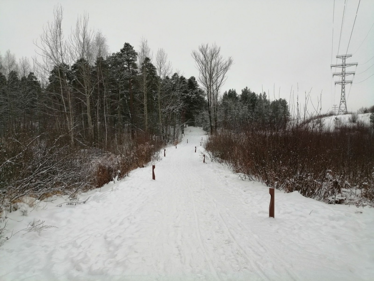 Отключение электроэнергии на Бору 11-15 января