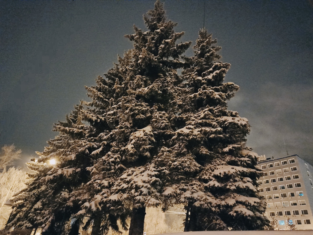 Хорошая и плохая новости для жителей Бора