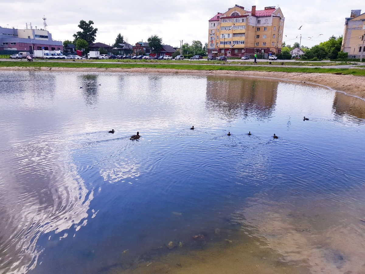 В городе Бор с 1 апреля начнется выдача разрешений на охоту на пернатую дичь