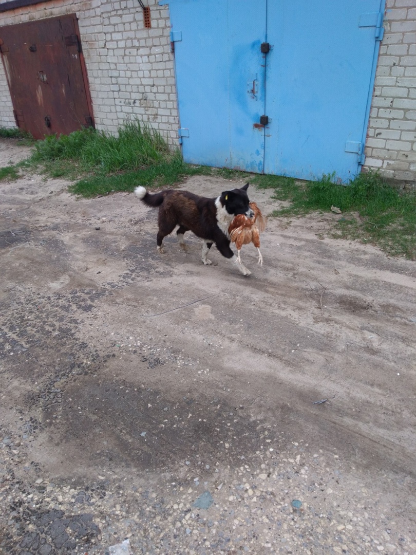 Закон о "гаражной амнистии" одобрен во II чтении