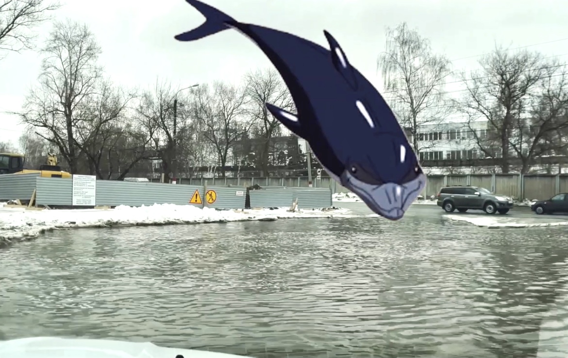 Заплыв по Мордовскому с дельфинами