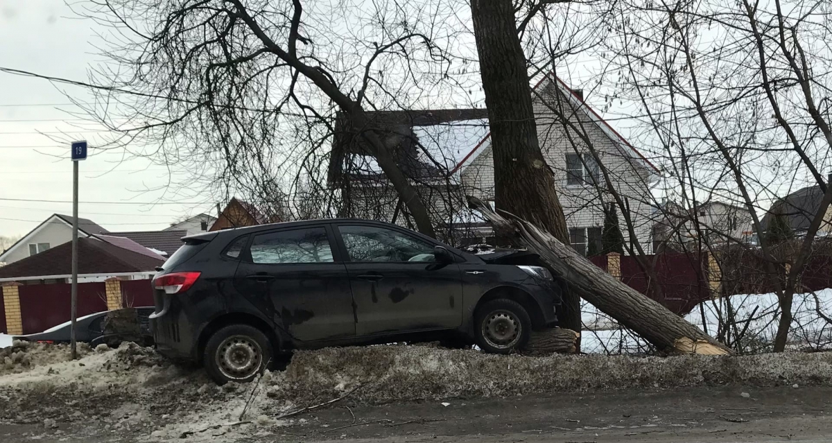 Автомобиль врезался в дерево в городе Бор