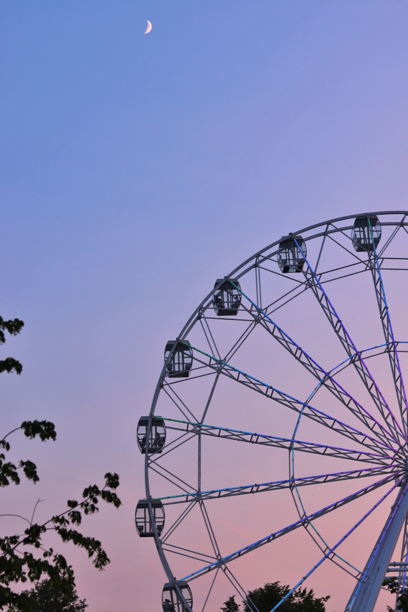 Колесо обозрения с видом на Бор хотят построить на берегу Волги