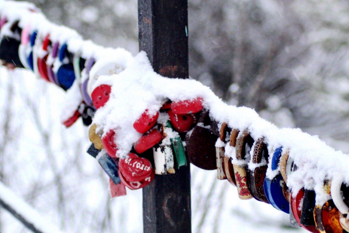 Количество разводов в пандемию на Бору выросло на 36%