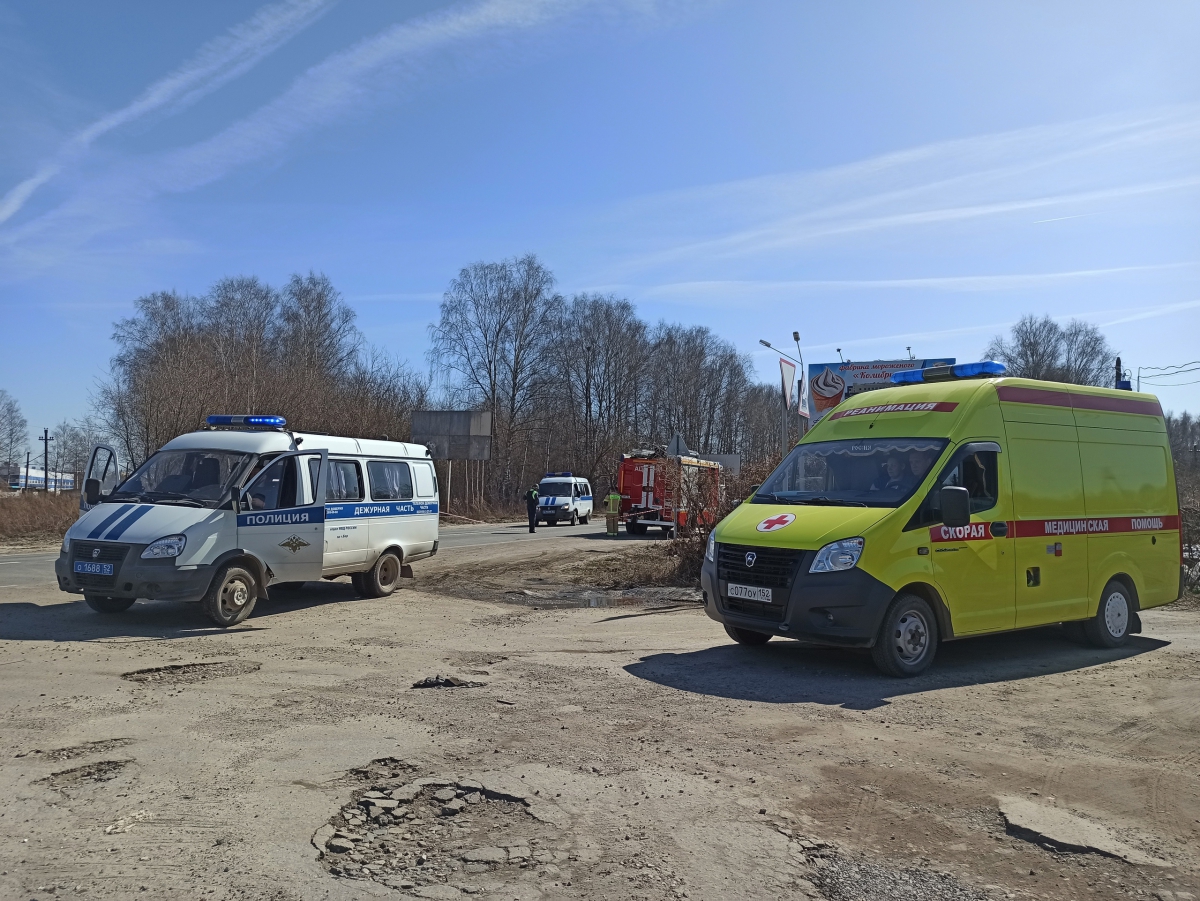 Найденные на Бору снаряды оказались ещё времён Великой Отечественной войны