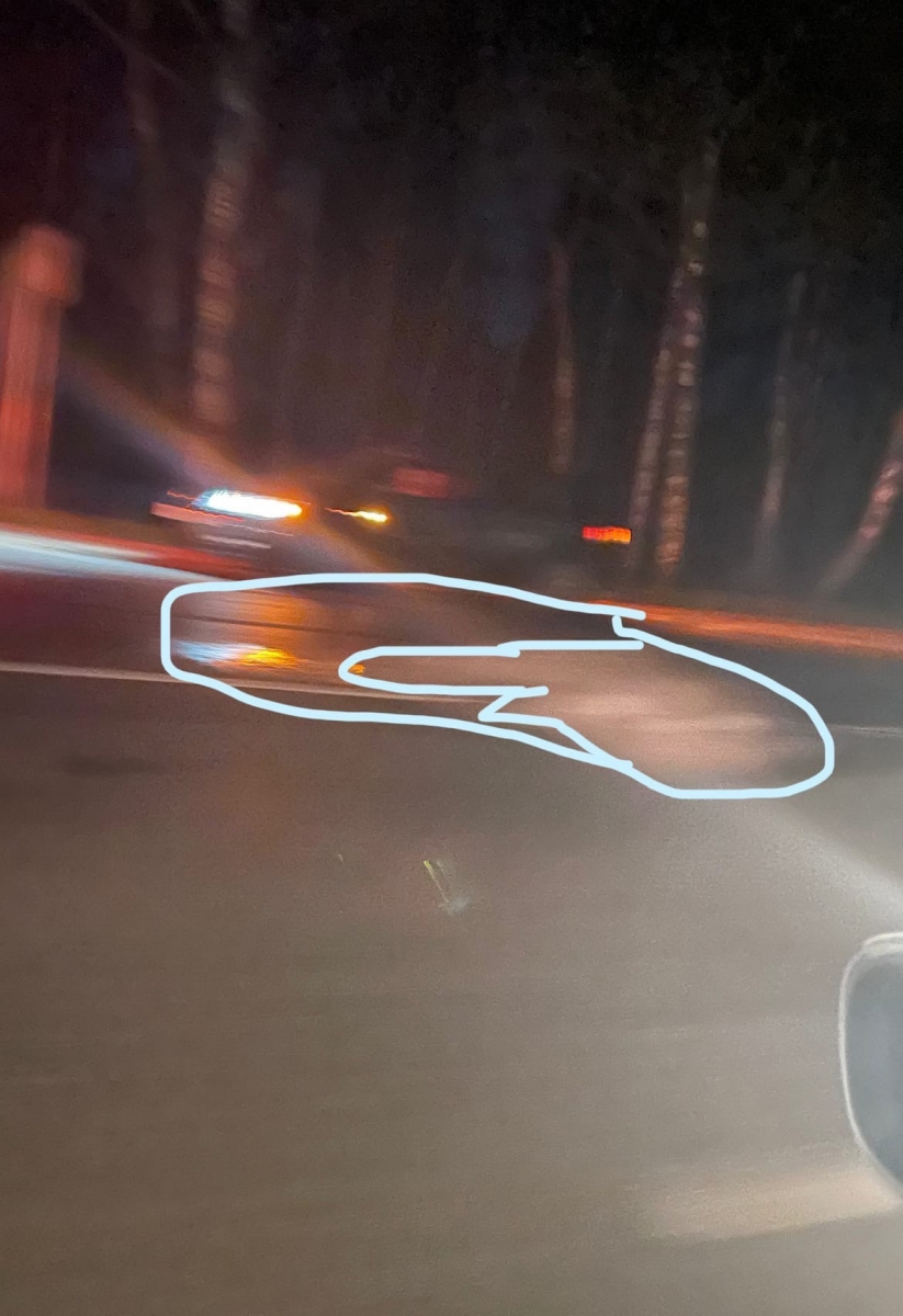 На борской трассе сбили лося