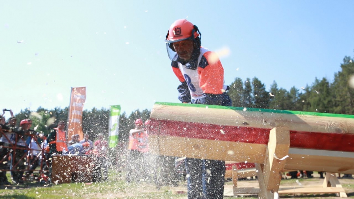 Лучшего лесоруба выбрали в Нижегородской области
